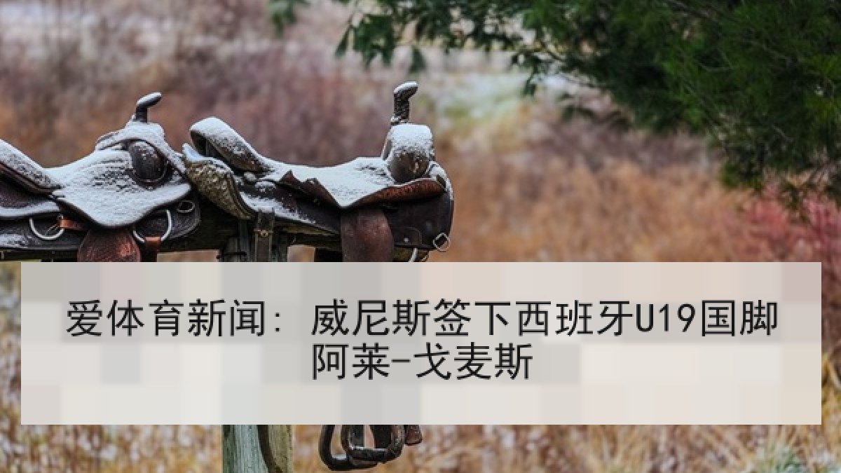 爱体育新闻: 威尼斯签下西班牙U19国脚阿莱-戈麦斯