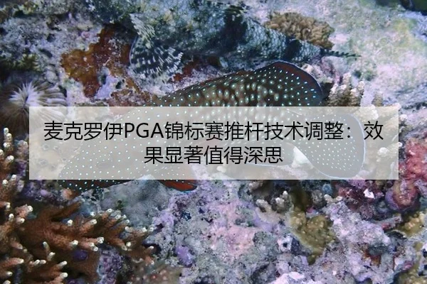 麦克罗伊PGA锦标赛推杆技术调整：效果显著值得深思
