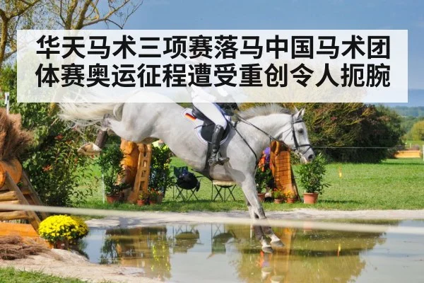 华天马术三项赛落马中国马术团体赛奥运征程遭受重创令人扼腕